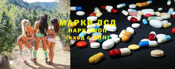 стафф Армянск
